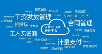 上海互聯(lián)網(wǎng)軟件集團 高端協(xié)同管理軟件與企業(yè)管理咨詢服務提供商